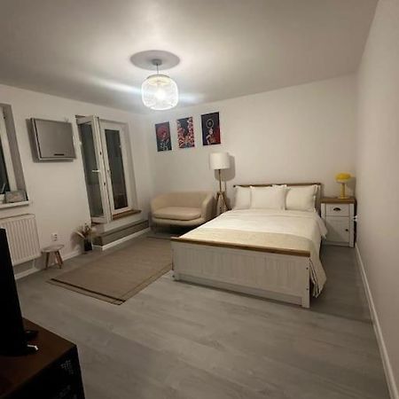 Studio Cozy Piata Victoriei Apartman Bukarest Kültér fotó